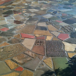 Multi-coloured crazy paving